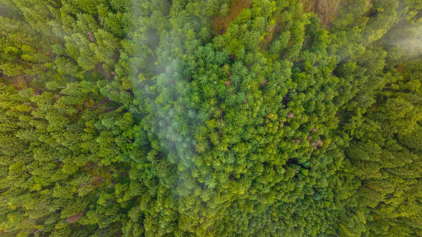 Viiden lapsen isä kuoli järkyttävällä tavalla kotonaan – poliisi etsii metsästäjää