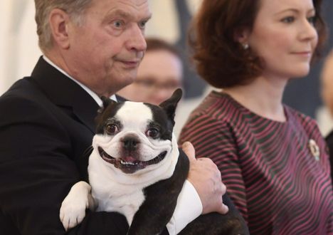 Tasavallan Presidentin Sauli Niinist n Perheen Lennu koira On Kuollut