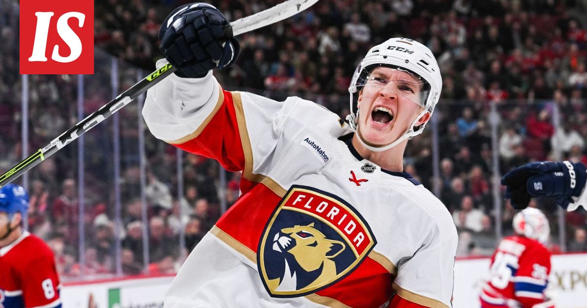 No Nyt Anton Lundell N yryytti Vastustajaa Maalivahti T ysin no-nyt-anton-lundell-n-yryytti-vastustajaa-maalivahti-t-ysin
