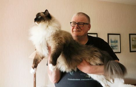 Urho Hakala kertoo, ettei hänen ollut alun perin tarkoitus lähteä kissojensa kanssa näyttelyihin mutta niin vain kävi.