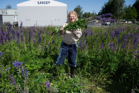 SK testasi Crowdsorsa-sovellusta - Satakunnan Kansa