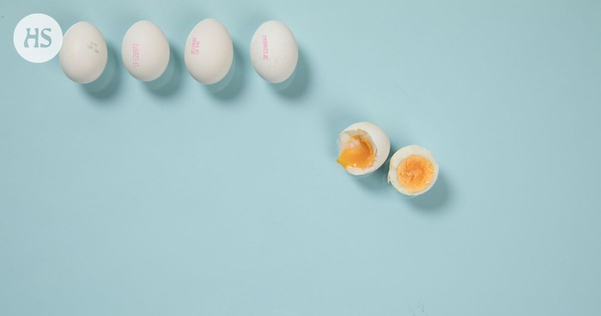 It takes 32 minutes to cook a perfect egg, claims