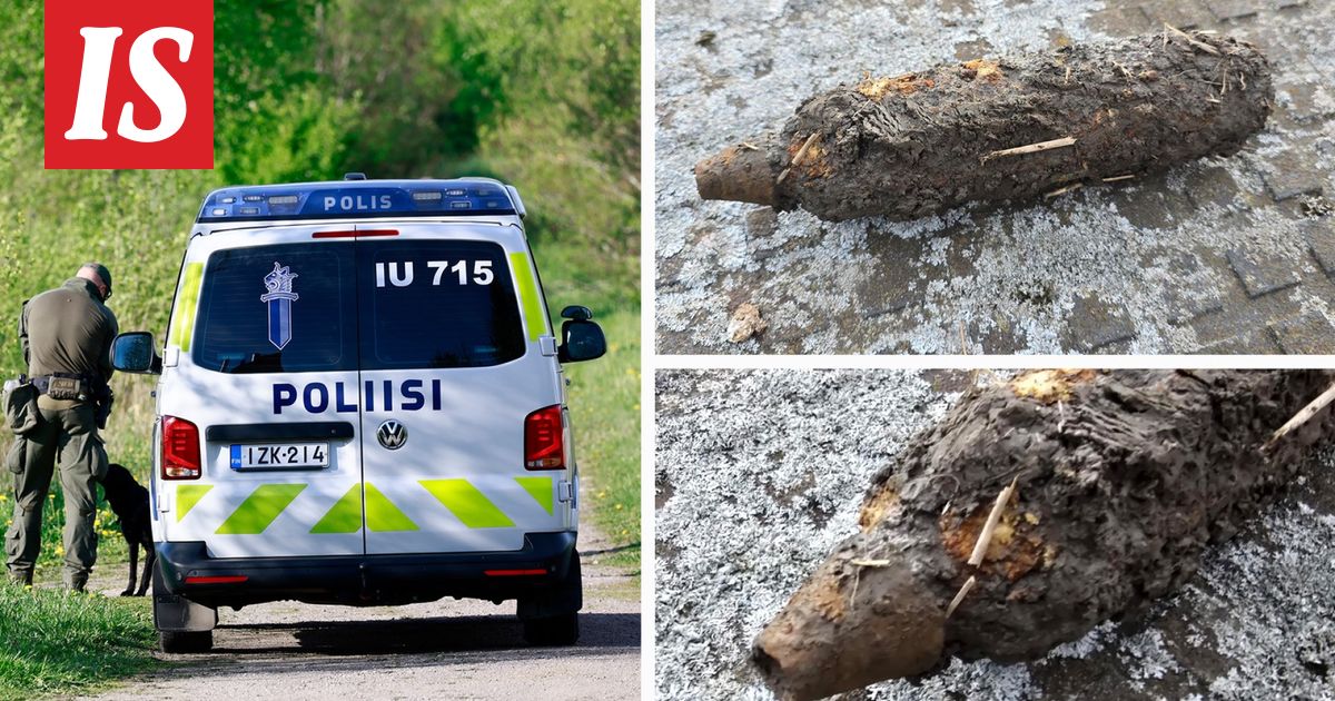 JP teki maasta uskomattoman löydön: ”Nyt sitä etsitään kissojen ja koirien kanssa”