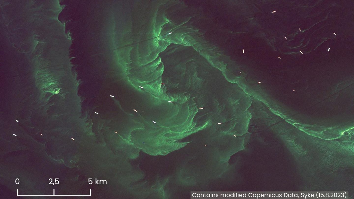 Baltic Sea: Auroras or algae? Photos reveal the state of the Baltic Sea