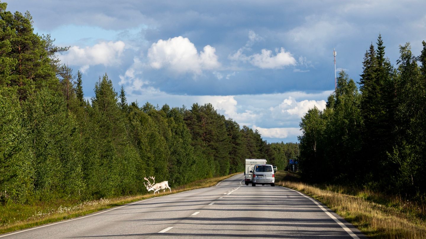 Yle: Turistien ällöttävä tapa yleistyi Lapissa