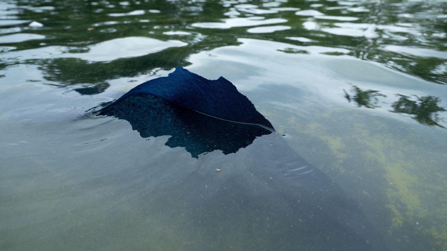 Blue Paint Flakes Off Renovated Lincoln Memorial Reflecting Pool