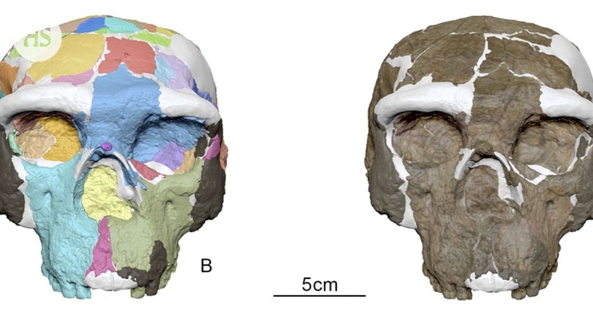 The early stages of modern Homo sapiens may be getting earlier
