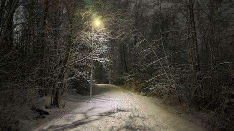 Härmälän Vähäjärvenpuisto sai sunnuntaina kauniin lumipeitteen. Huomenna maanantaina tämä näky on mennyttä. 