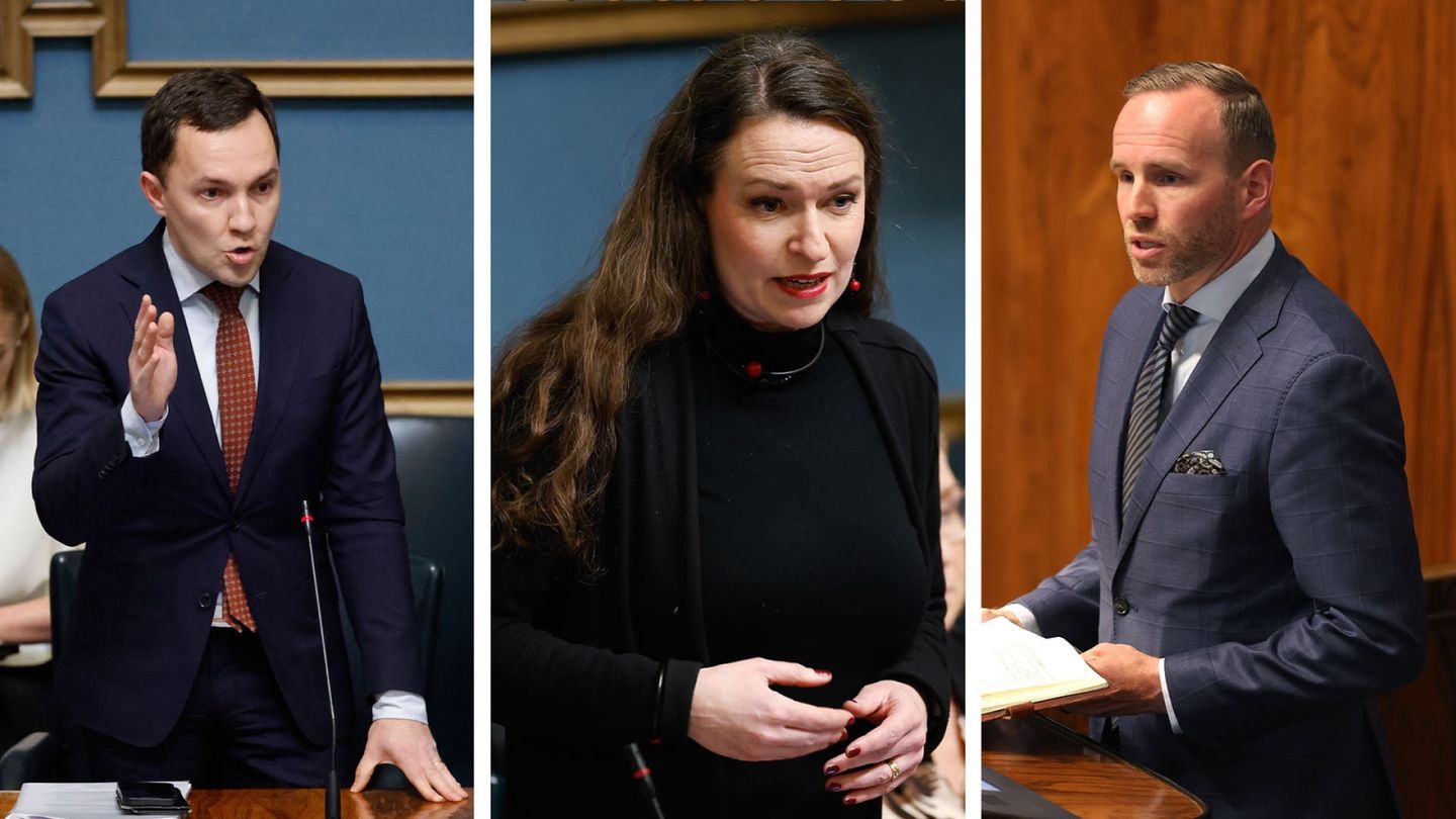 Rydman Accuses Coalition Partners of Protecting 'Golden Piggy Bank Club' Institute