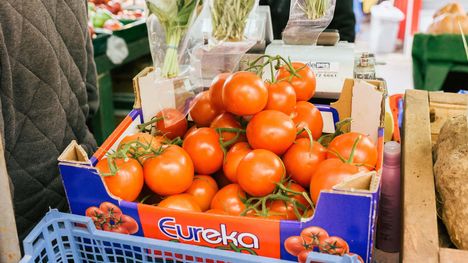 Britannia tuo muualta EU:sta tomaatteja 480000 tonnia vuodessa. Britanniassa myydystä tomaatista kotimaista on vain noin viidennes.