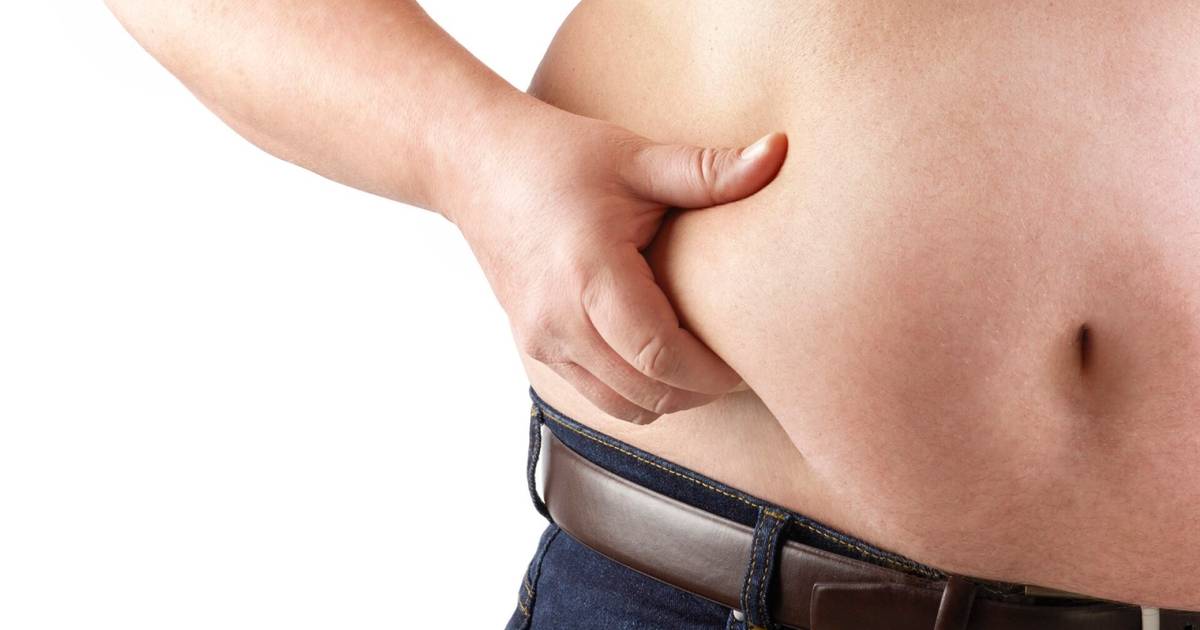 The study found a memory in the fat cells, which is why dieters quickly gain weight back