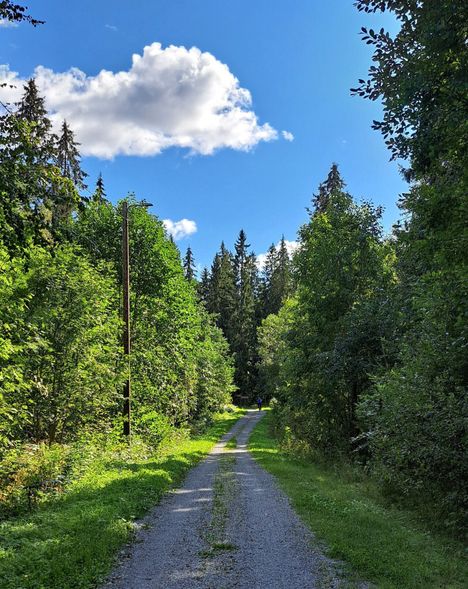 Päiväkävelyllä latupohjalla 25.8.2025.
