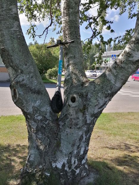  Koulujen K nnykk kielto Ei Vaikuta Oppimistuloksiin Juuri Mit n 