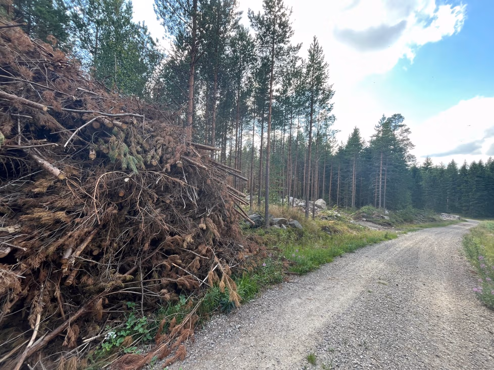 Tuhotuotanto ei ole ratkaisu Porin ongelmiin