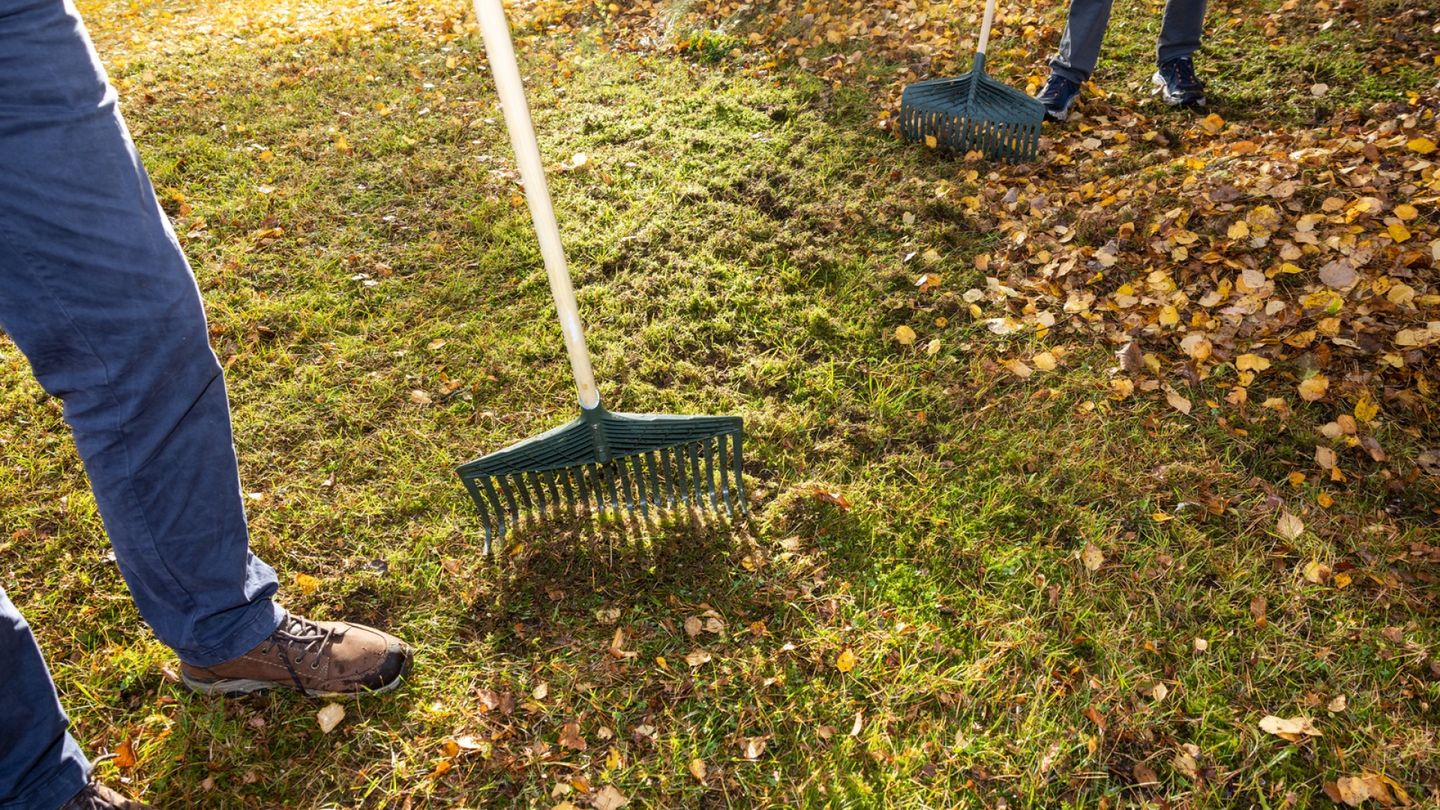 Haravoitko oikein? Näitä virheitä kannattaa välttää