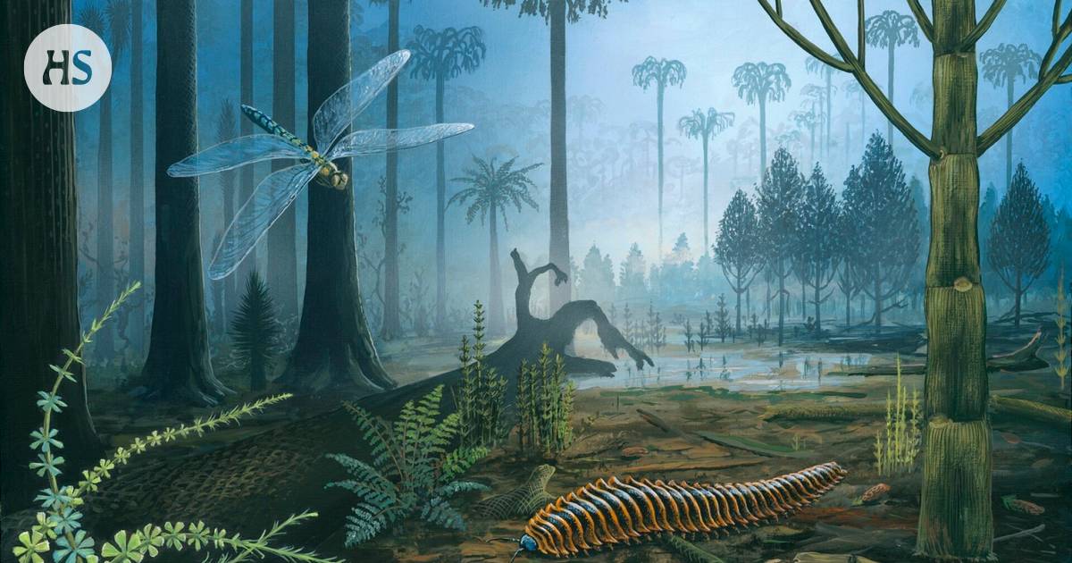 Arthropleura was a centipede giant – now we found out what it ate