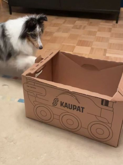 Cardboard box used by the S Group on food orders sent from the Vantaa Collecting Center. Picture of an order submitted on Monday last week.