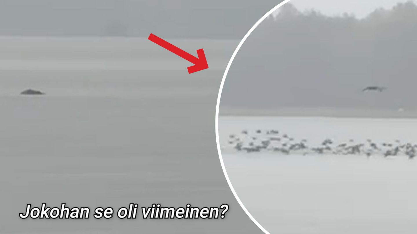 Aki näki erikoisen ilmiön aamu­palaa syödessään – kysyimme asiantuntijalta, mistä on kyse