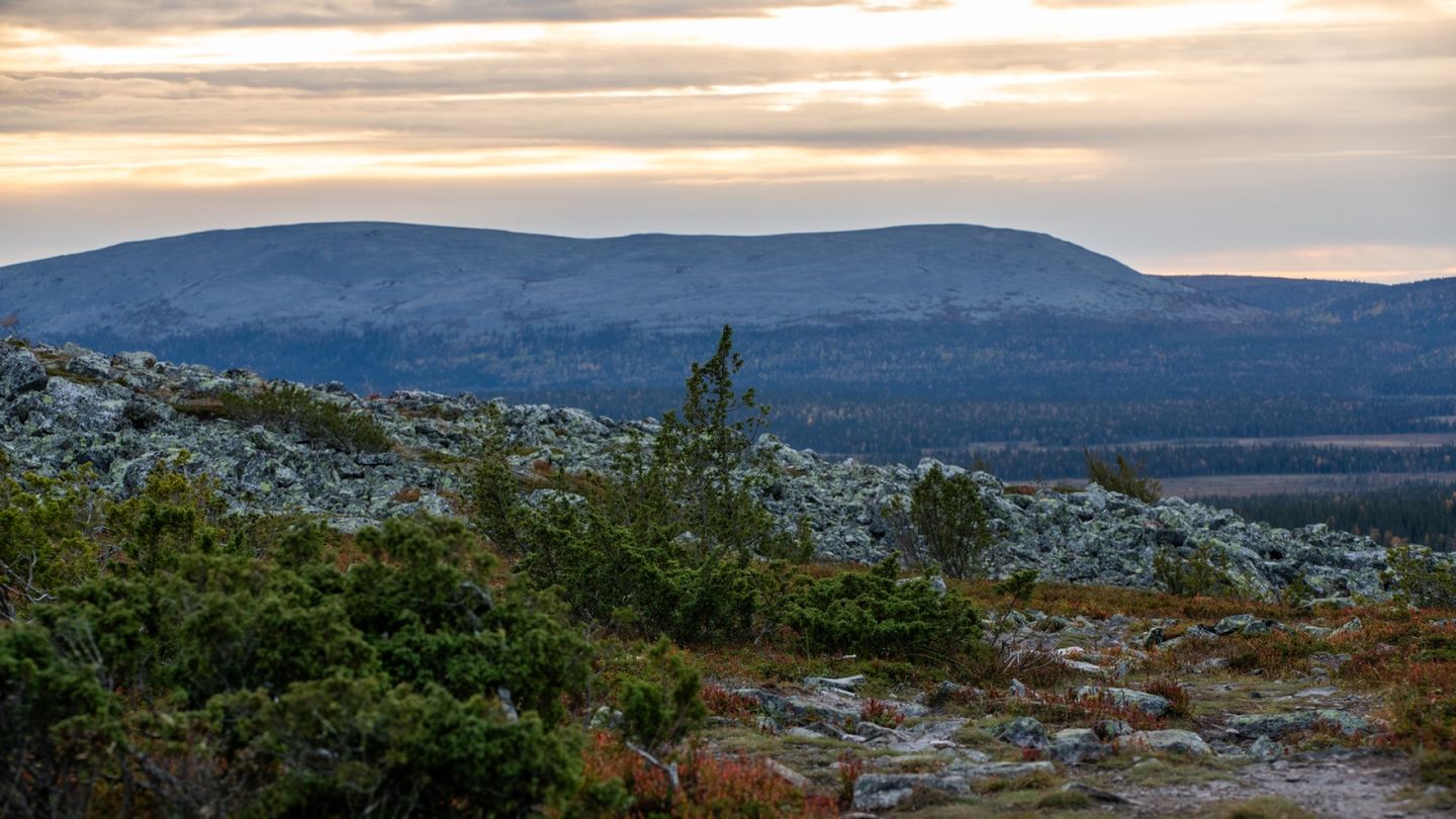 Alone Australia's latest season filmed in Finland's Lapland