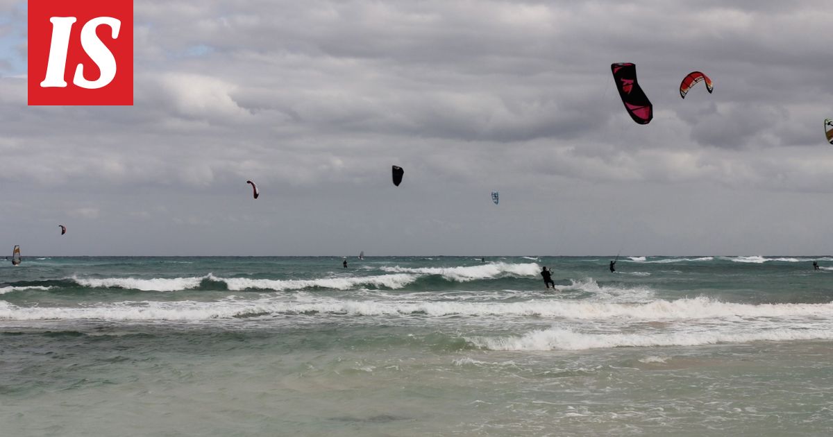 Lomailija löysi yllätyksen roskiksesta Kanarialla