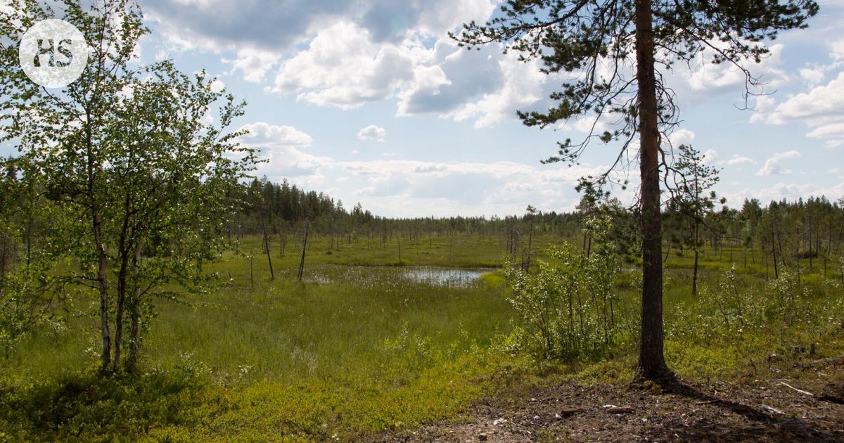 www.hs.fi