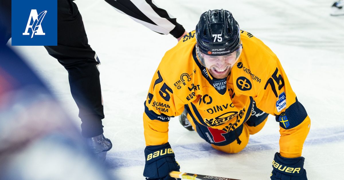www.aamulehti.fi