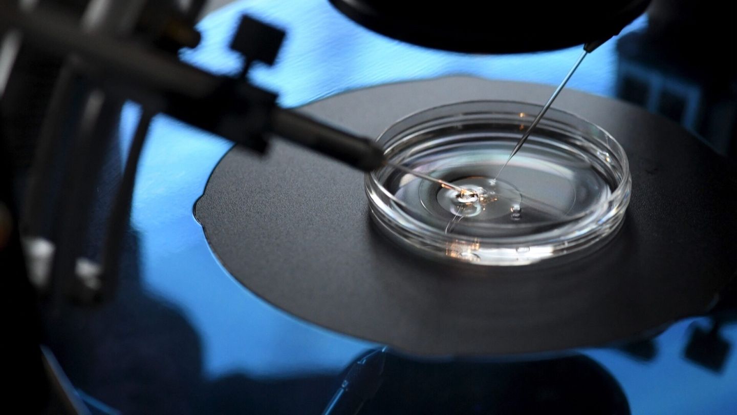 Vilma handed over her egg cells and noticed that the donor may have to pay for his or her desire to help