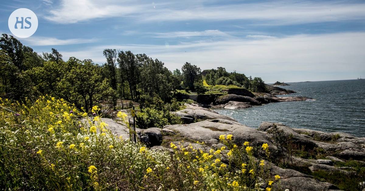 The ecosystem of Vallisaari inspired the Helsinki Biennale