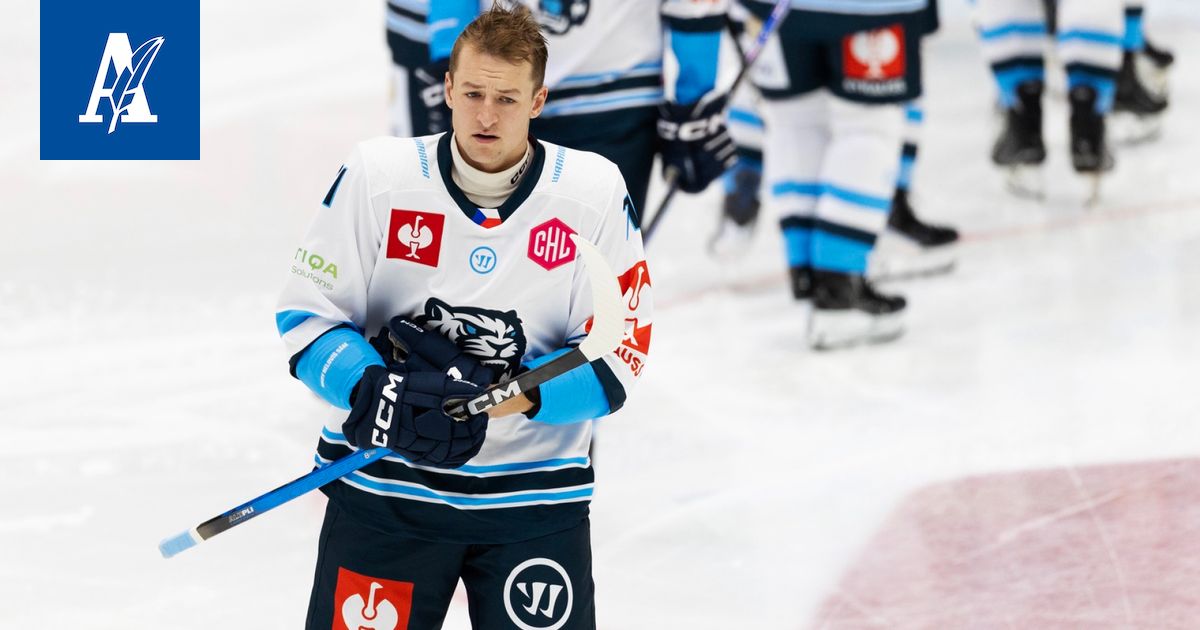 www.aamulehti.fi