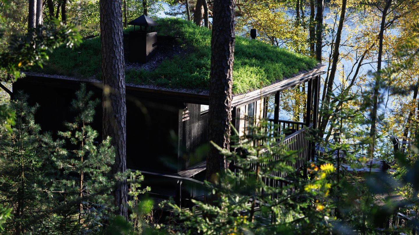 Kuusijärven saunat voittivat Arkkitehtuurin Finlandia -palkinnon