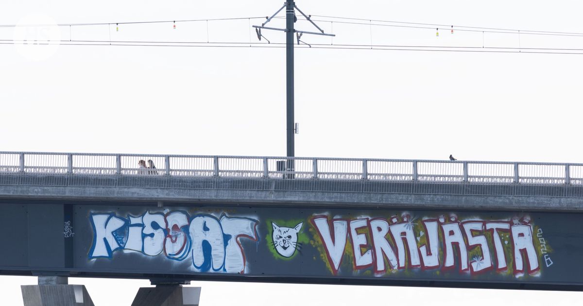 Image accompanying Graffitit | Tiedätkö, mitä tämä tarkoittaa? Helsingin Kruunuvuorensilta sai kylkeensä viestin, from HS.fi