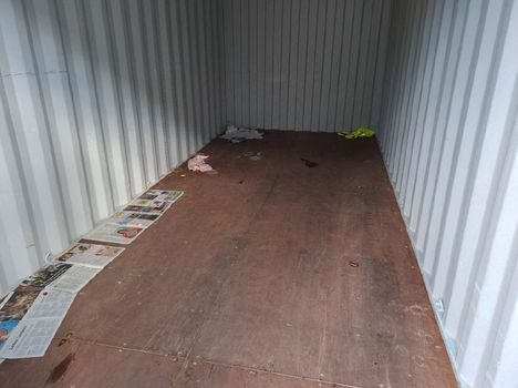 Nainen oli jättänyt lemmikeilleen konttiin sanomalehtiä.