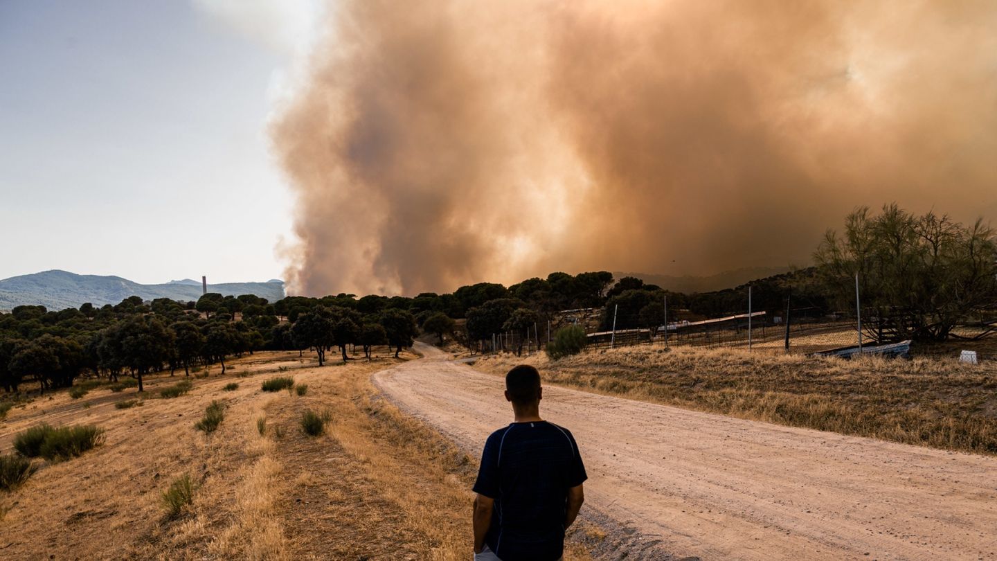 Spain Declares State of Emergency as Wildfires Rage Amid Heatwave