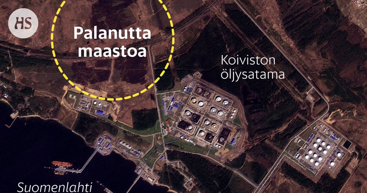 Suomi lähettää enintään 40 sotilasta Ukrainaa tukevaan operaatioon — image 2