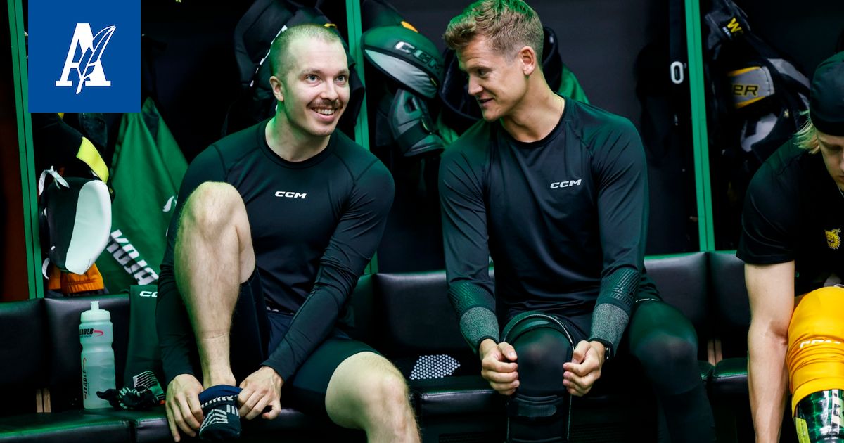www.aamulehti.fi