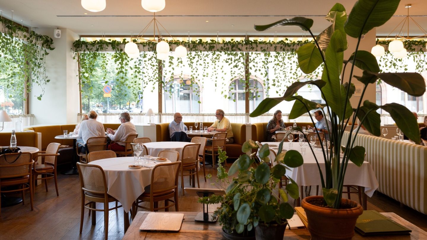 Ravintola-arvio | Helsingistä on vaikeaa löytää hyvää salaattia – näistä kolmesta ravintolasta saa kaupungin parhaat