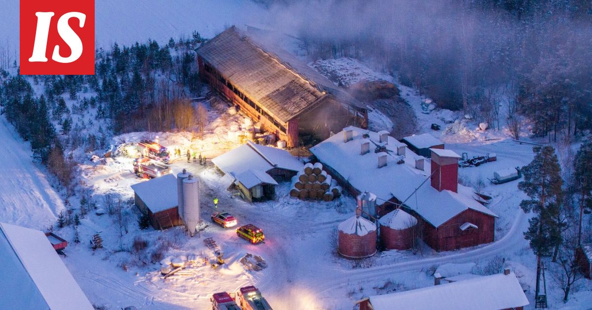Synkkä viikonloppu Kouvolassa – 180 nautaa kuoli, 3 hevosta pelastui