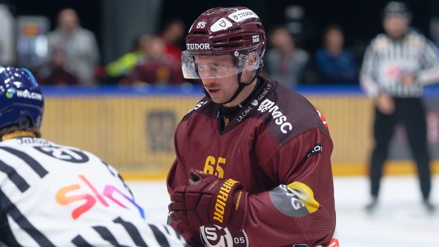 Superleijonasta ikävä uutinen