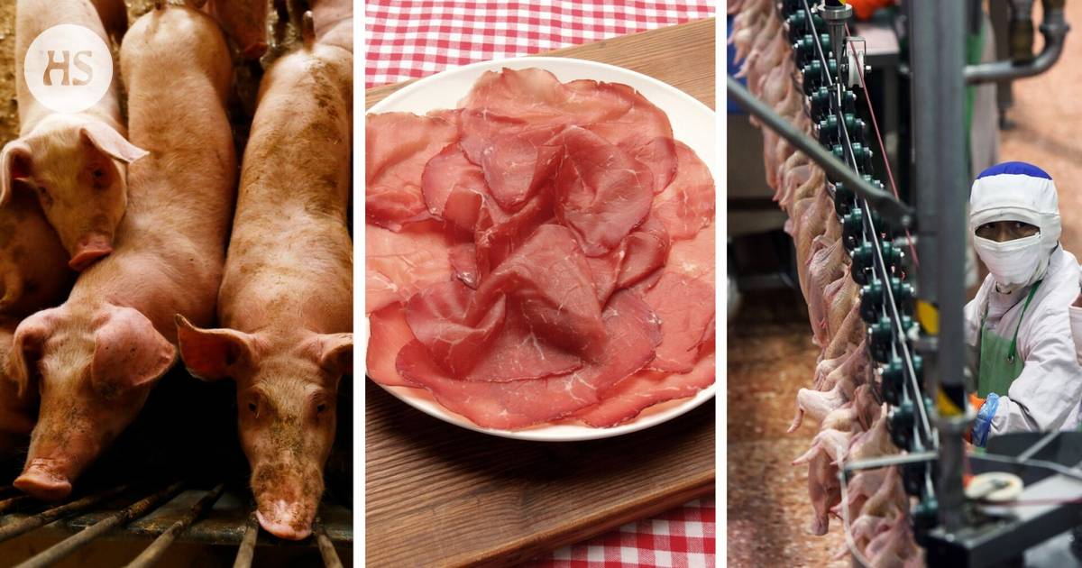 A lot of meat is imported to Finland from countries where antibiotics are widely used – is there any reason to worry?