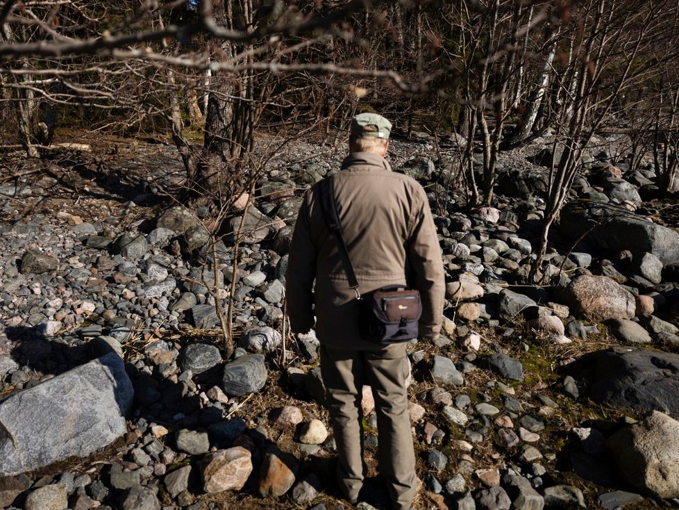 Antti Koli etsii rantakäärmeitä rantakivikosta meren äärellä Helsingissä. Hän käy täällä noin joka toinen päivä. Kun Koli teki matelijoista kirjaa (Suomen matelijat ja sammakkoeläimet), hän kävi etsimässä niitä päivittäin.