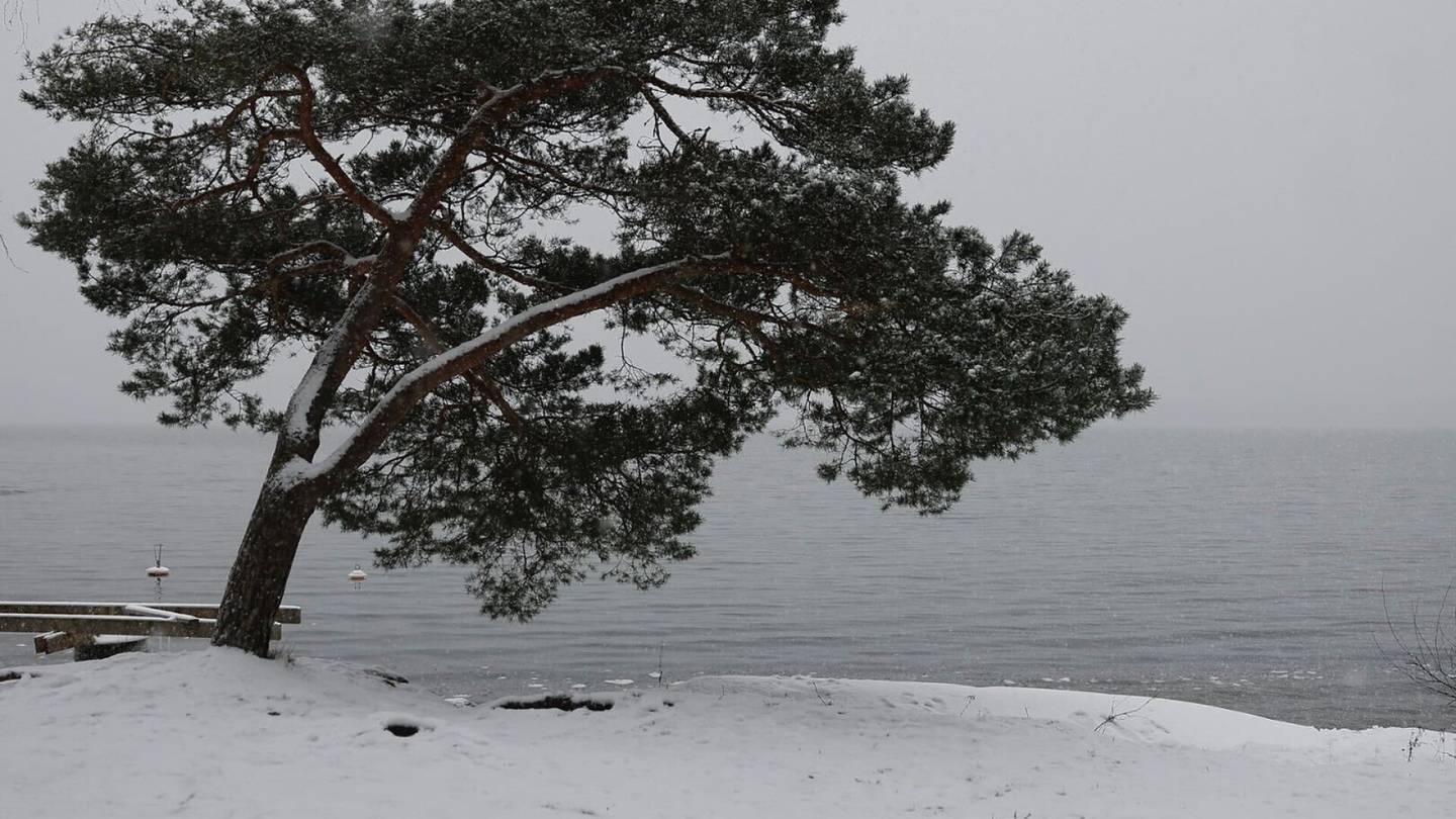  Espoossa kadonnut nainen löytyi kuolleena merestä Lauttasaaressa