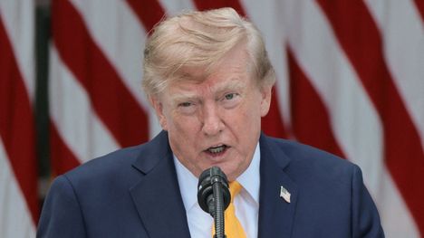 Trumpin kommentteja on edeltänyt laaja julkinen keskustelu tekoälyn vaaroista ja sääntelystä.