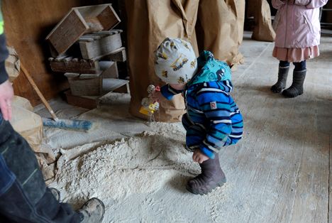 The youngest plays with a bucket loader in flour pile.