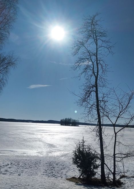 Ja se aurinko. Alkuviikosta paistoi näin komeasti Pyhäjärven rannassa. Kuva: Marketta Sorsa.