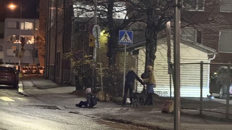 Koira hyökkäsi iäkkään naisen päälle ja puri häntä jalkaan Tampereen Tammelan Väinölänkadulla 6. marraskuuta 2024.