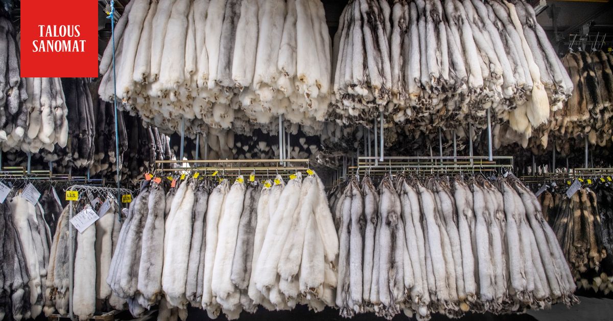 Turkiskaupalla paras myynti kymmeneen vuoteen