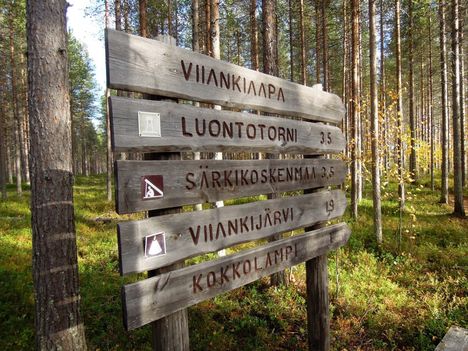 Drying Viankiaava or EUR 3.3 billion-Rydman: for the Natura deviation « all conditions »
