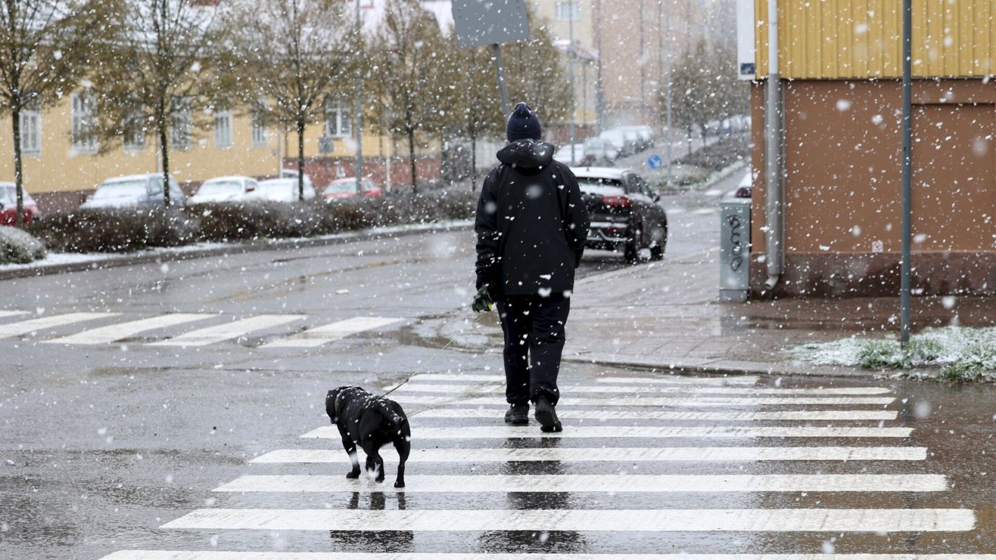 The weekend becomes chilly, up to tens of cents of snow in the east