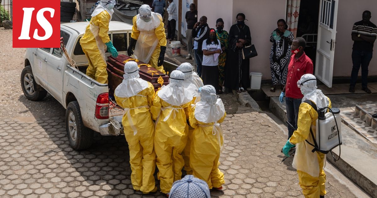 Uutta tietoa ebola­epidemian alkuperästä