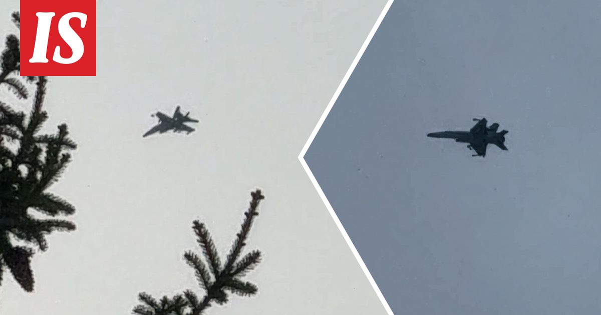 Hornetit keskeyttivät Tonin unet: ”Koskaan aikaisemmin ei”